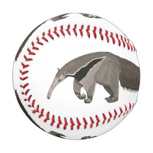 Balle De Baseball Illustration d'un dessin animé d'Anteater