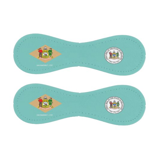 Balle De Baseball Indicateur du Delaware (Panneaux)