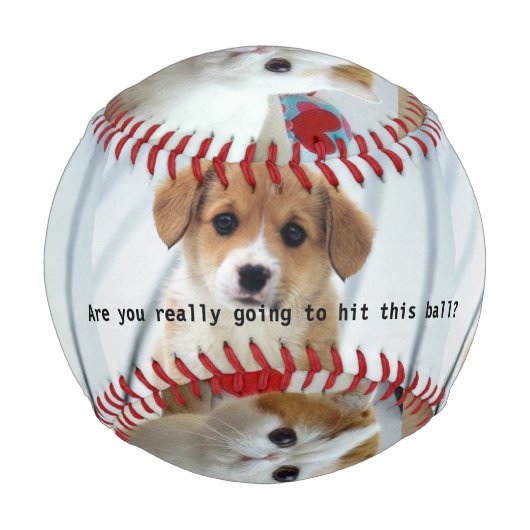 Balle De Baseball Innocent Puppy et Kitten Baseball (Dos)