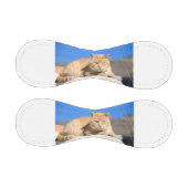 Balle De Baseball Lazy cat (Panneaux)