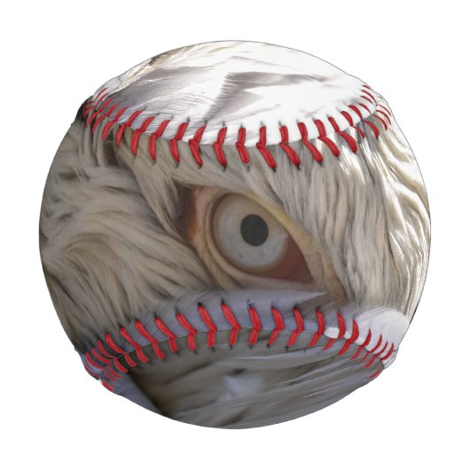 Balle De Baseball L'oeil d'un pélican (Devant)