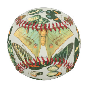 Balle De Baseball Papillons Vintages papillons d'antiquités Art
