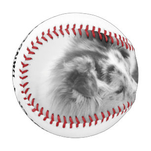 Balle De Baseball Photo simple, moderne personnalisée pour animaux 