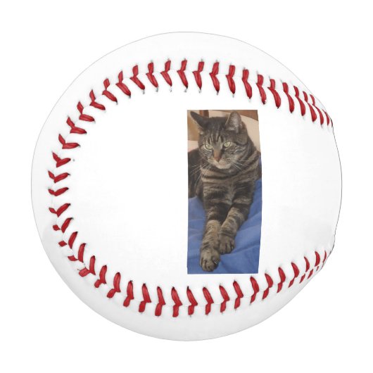 Balle De Baseball Regal Dave Baseball (Devant Gauche)