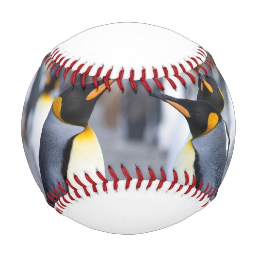 Balle De Baseball Roi Pingouin (Devant)