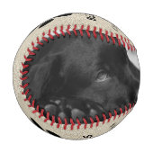Balle De Baseball Rustique Chien de Noël Chien Paw photo Collage (Devant Gauche)