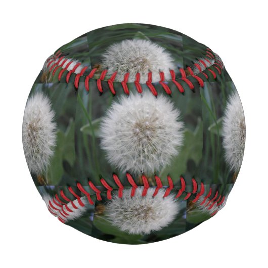 Balle De Baseball Saisie Dandelion Flower Baseball (Devant)