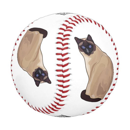 Balle De Baseball Siamese cat cartoon (Angle)