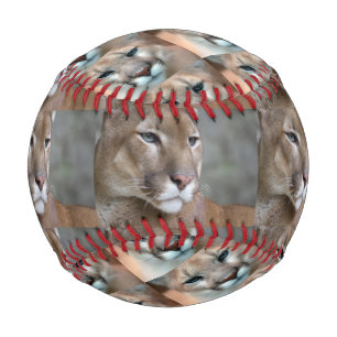 Balle De Baseball sports collectifs sauvages de joueur d'empreintes