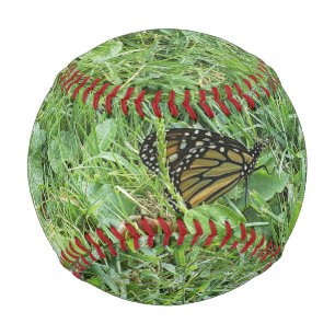 Balle De Baseball Un papillon monarque
