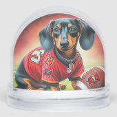 BALLE DE FOOTBALL (Avant)