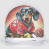 BALLE DE FOOTBALL (Arrière)