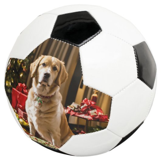 Balle de football de chien de Noël (3/4)