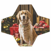 Balle de football de chien de Noël (Plat)