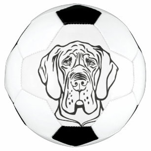 Balle de football Great Dane