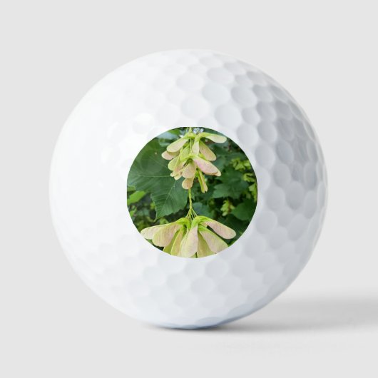 Balle de Golf Nature Fleur Blanche (Recto)