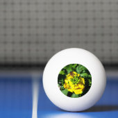Balle De Ping Pong Abeille sur Fleurs Jaunes (Filet)