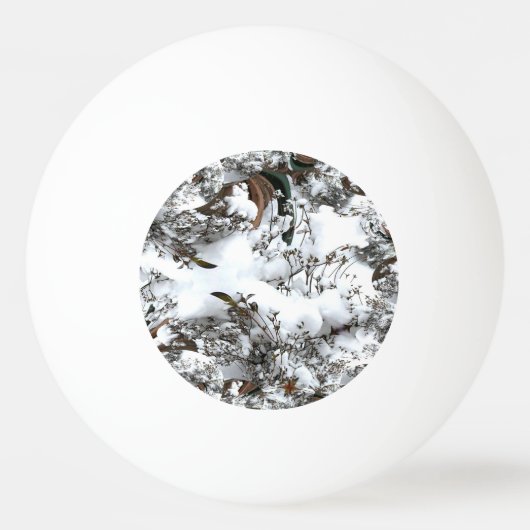 Balle De Ping Pong Abstrait de neige (Devant)