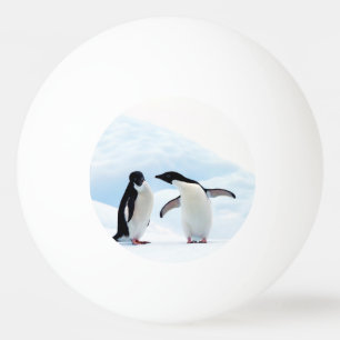 Balle De Ping Pong Adelie Penguins