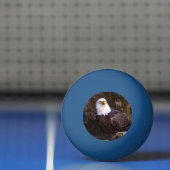 Balle De Ping Pong Aigle de Bald (Filet)