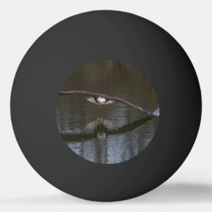 Balle De Ping Pong Aigle royal en vol
