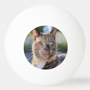 Balle De Ping Pong Ajouter une Personnaliser photo de chat