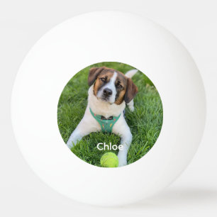 Balle De Ping Pong Ajoutez Votre Photo Photo de Chien Photo d'Enfants