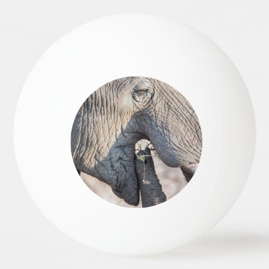 Balle De Ping Pong Alimentation des éléphants (Dos)