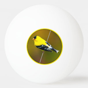 Balle De Ping Pong American Goldfinch - Photo originale