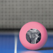 Balle De Ping Pong amour chaton (Filet)