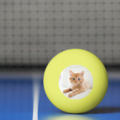 Balle De Ping Pong amour chaton (Filet)