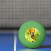 Balle De Ping Pong attachement calme (Filet)