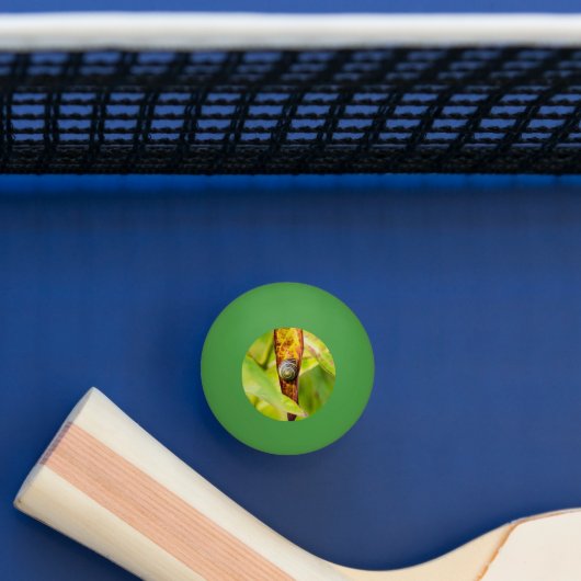 Balle De Ping Pong attachement calme (Tableau)