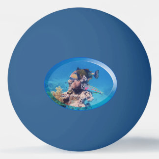 Balle De Ping Pong Baliste sur récif corallien - Conception photograp