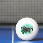Balle De Ping Pong Bébé dauphin (Filet)