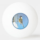 Balle De Ping Pong Bickadee sur la peinture d'alimentation - Oiseaux  (Dos)