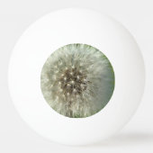 Balle De Ping Pong Big White Dandelion (Devant)