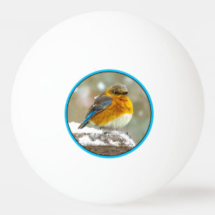 Balle De Ping Pong Bleuet de l'Est en neige - Photo originale