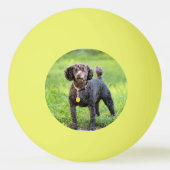 Balle De Ping Pong Bonjour (Dos)