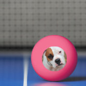 Balle De Ping Pong Boucle (Filet)