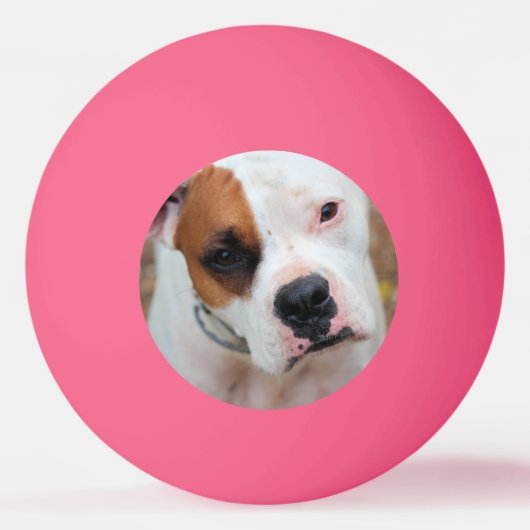 Balle De Ping Pong Boucle (Devant)