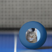 Balle De Ping Pong Boule de ping-pong (Filet)