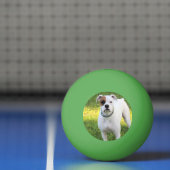 Balle De Ping Pong Boxer (Filet)