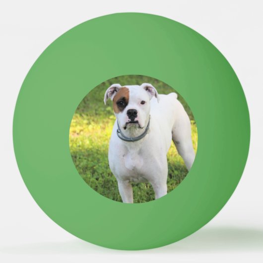 Balle De Ping Pong Boxer (Devant)