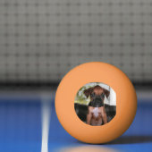 Balle De Ping Pong Boxer Bqby (Filet)