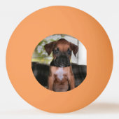 Balle De Ping Pong Boxer Bqby (Dos)