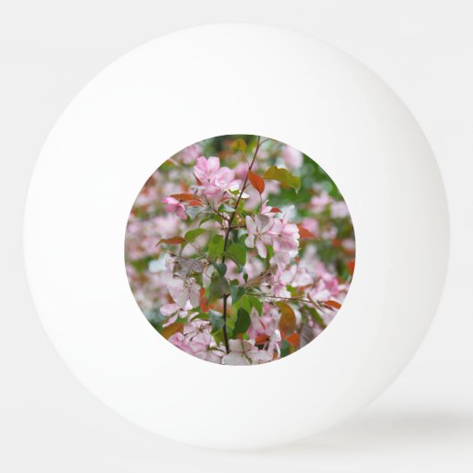 Balle De Ping Pong Branche délicate avec fleurs pommier (Devant)