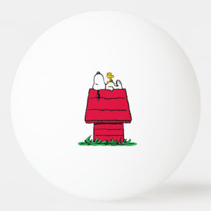Balle De Ping Pong cacahuètes   Snoopy & Woodstock Doghouse