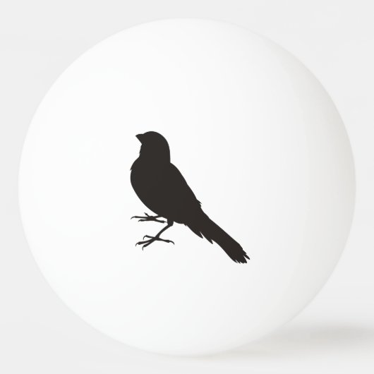Balle De Ping Pong Canari debout (Dos)