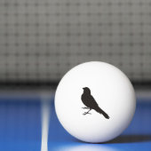 Balle De Ping Pong Canari debout (Filet)